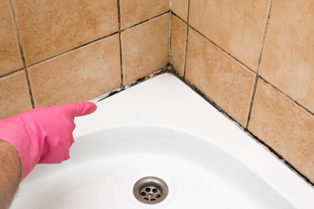 Best Bathroom Mold Remediation in Locust Grove, GA